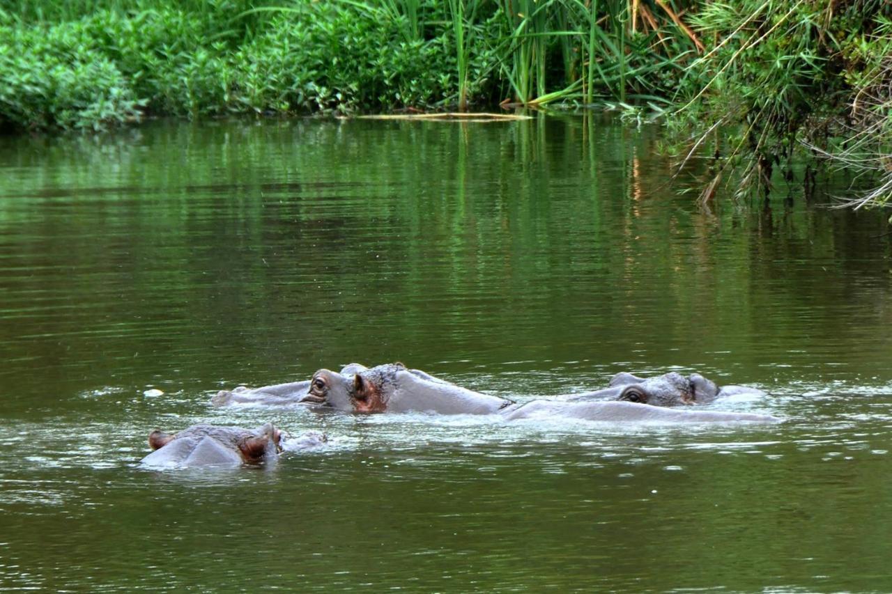 Kruger Park Lodge Unit No. 608A Hazyview Ngoại thất bức ảnh